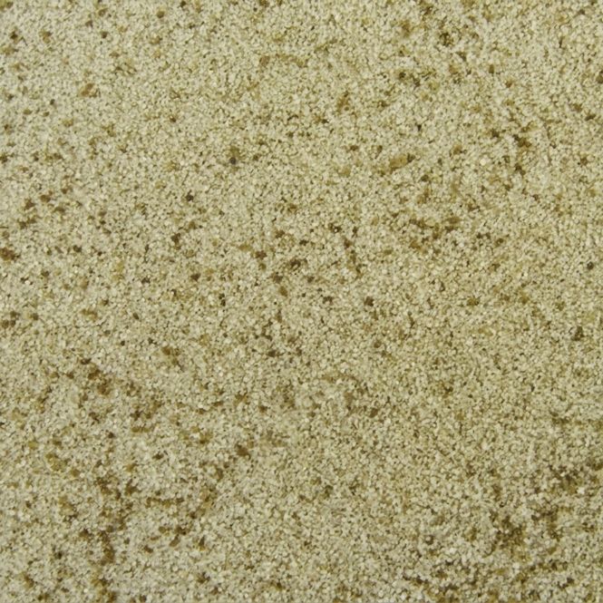 Hovedbilde Sellerisalt