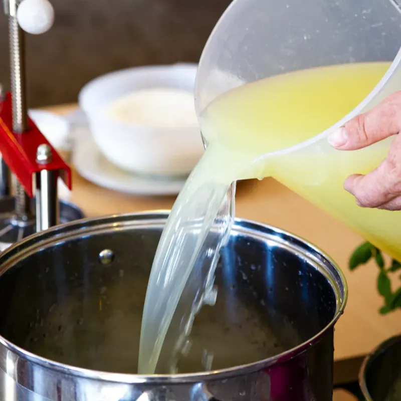 Startkultur for Ferskost og Cottage Cheese (Til 50L)