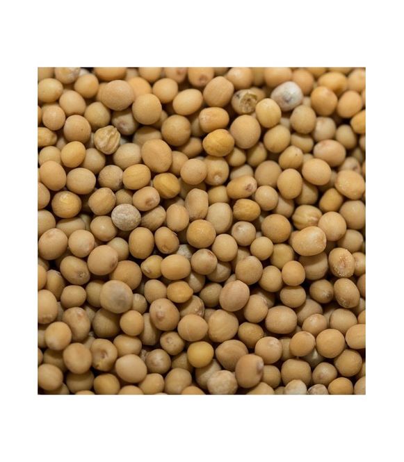 Main Image Yellow Mustard Seeds