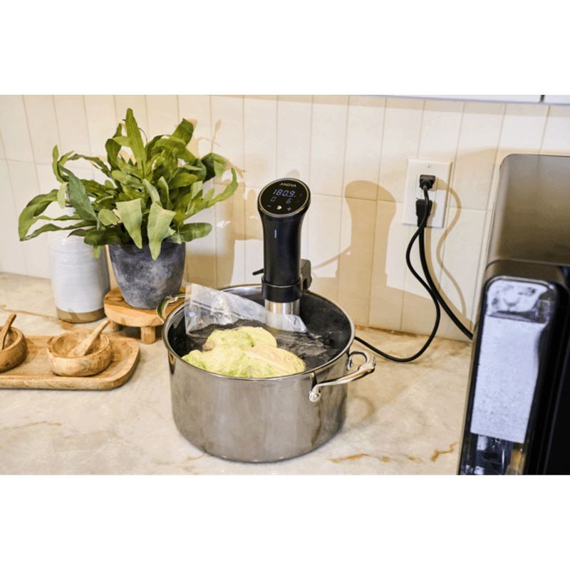 Anova Precision Cooker 3.0 Sous Vide