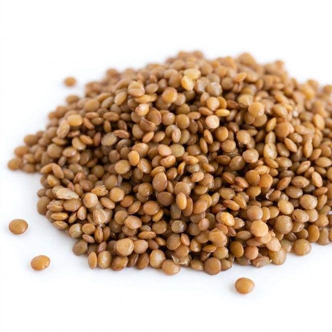 Main Image Brown Lentils
